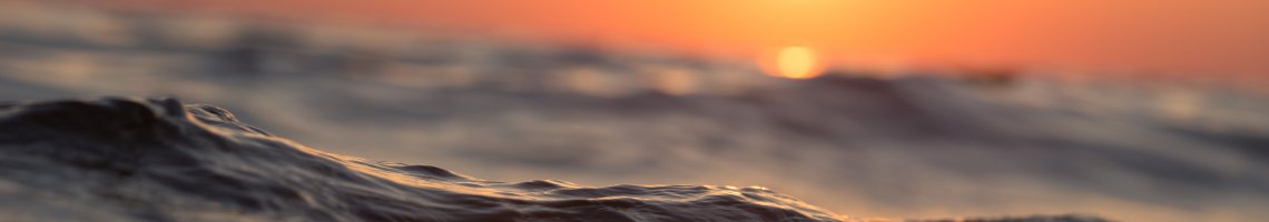 Ayse Rengin Yatcılık