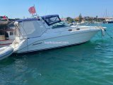 1998 Model Searay Sundancer 300 Satılık Motoryat